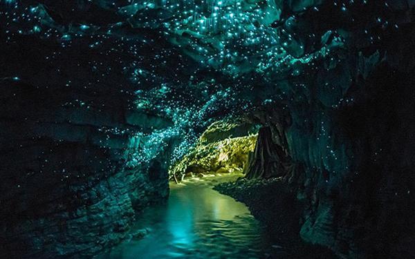 虫虫助手下载